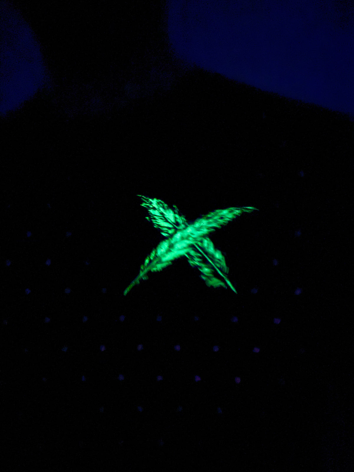 Nightfall Skull Collection Glow In The Dark Tee Shirt