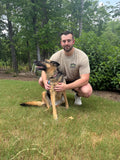 Pano K9 Tee Shirt